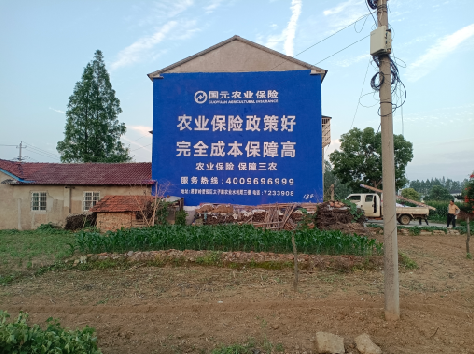 上高墙体广告为何受追捧？